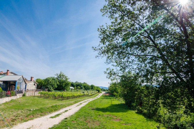 Außenbereich, Complex Villas Alison Deluxe Županići